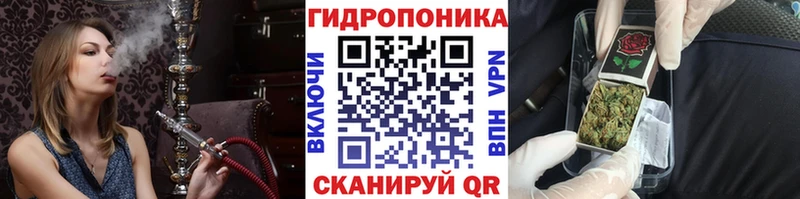 Как найти закладки Гурьевск A PVP  АМФ  Псилоцибиновые грибы  ГАШ  COCAIN 