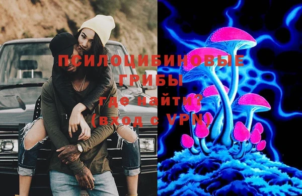 сатива Алексин