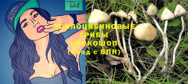 таблы Алзамай