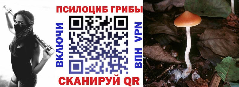 Псилоцибиновые грибы Magic Shrooms  Гурьевск 