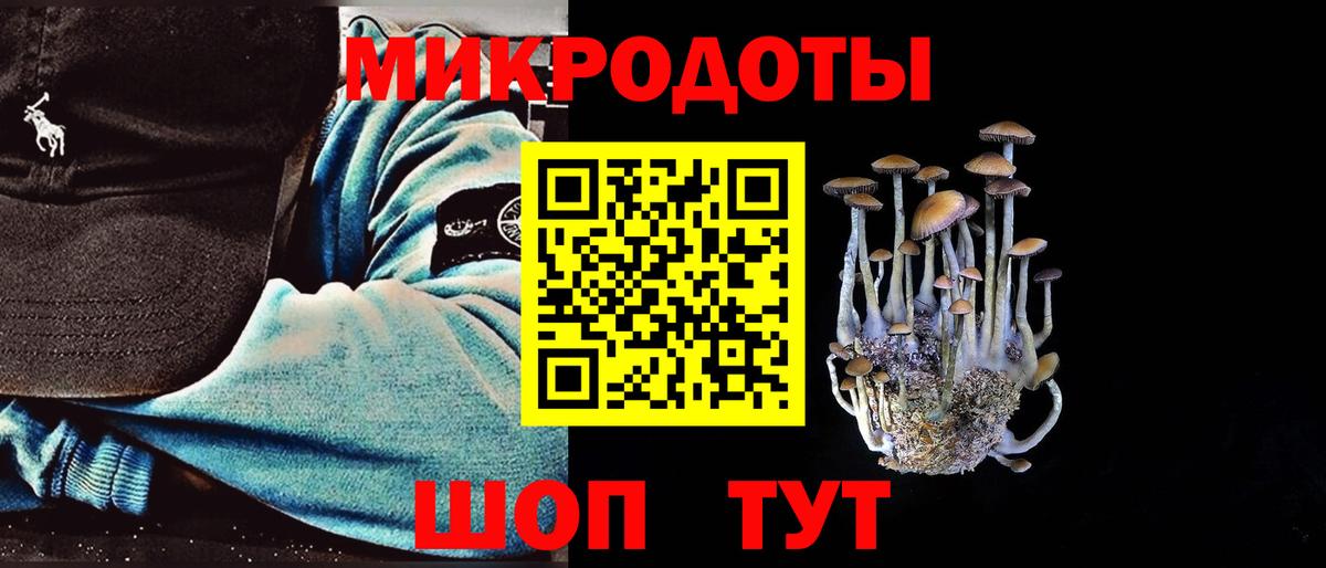 Гурьевск  Псилоцибиновые грибы мухоморы  Псилоцибиновые грибы Psilocybine cubensis  Вход с VPN 