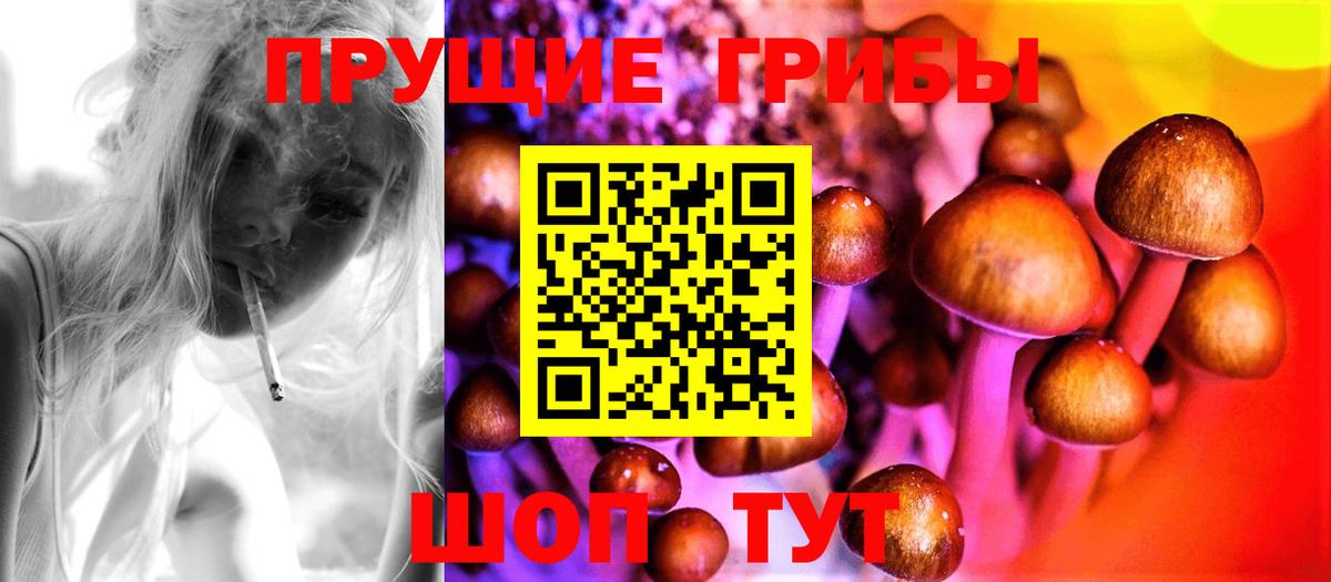 Галлюциногенные грибы Magic Shrooms Гурьевск